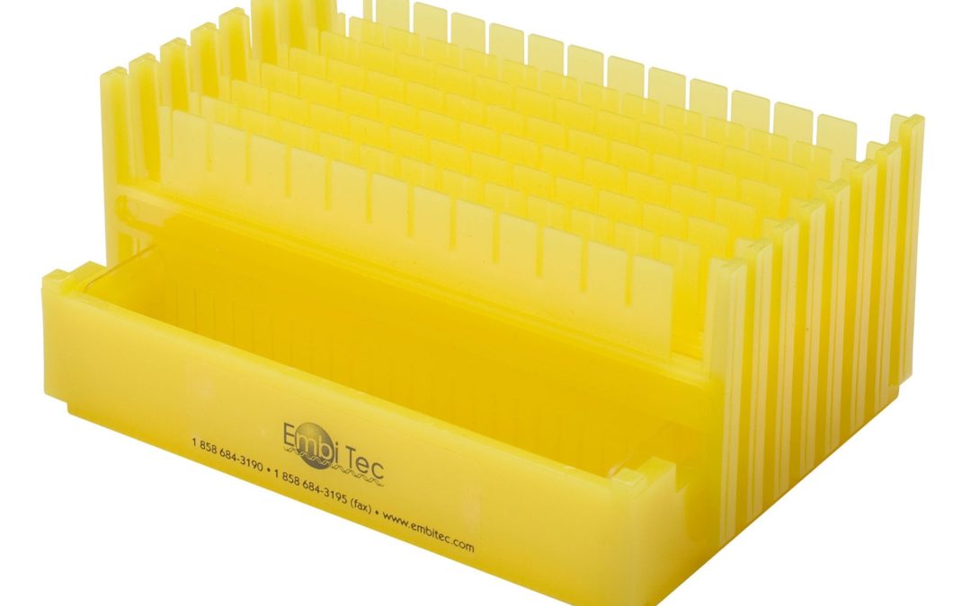 EP-1016 | MultiCaster Gel Casting System Yellow, 8 combs