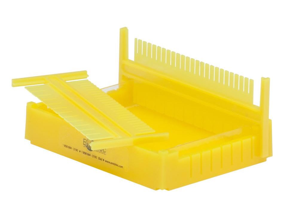 EP-1031 | MultiCaster Gel Casting System Yellow, 2 combs